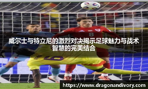 威尔士与特立尼的激烈对决揭示足球魅力与战术智慧的完美结合